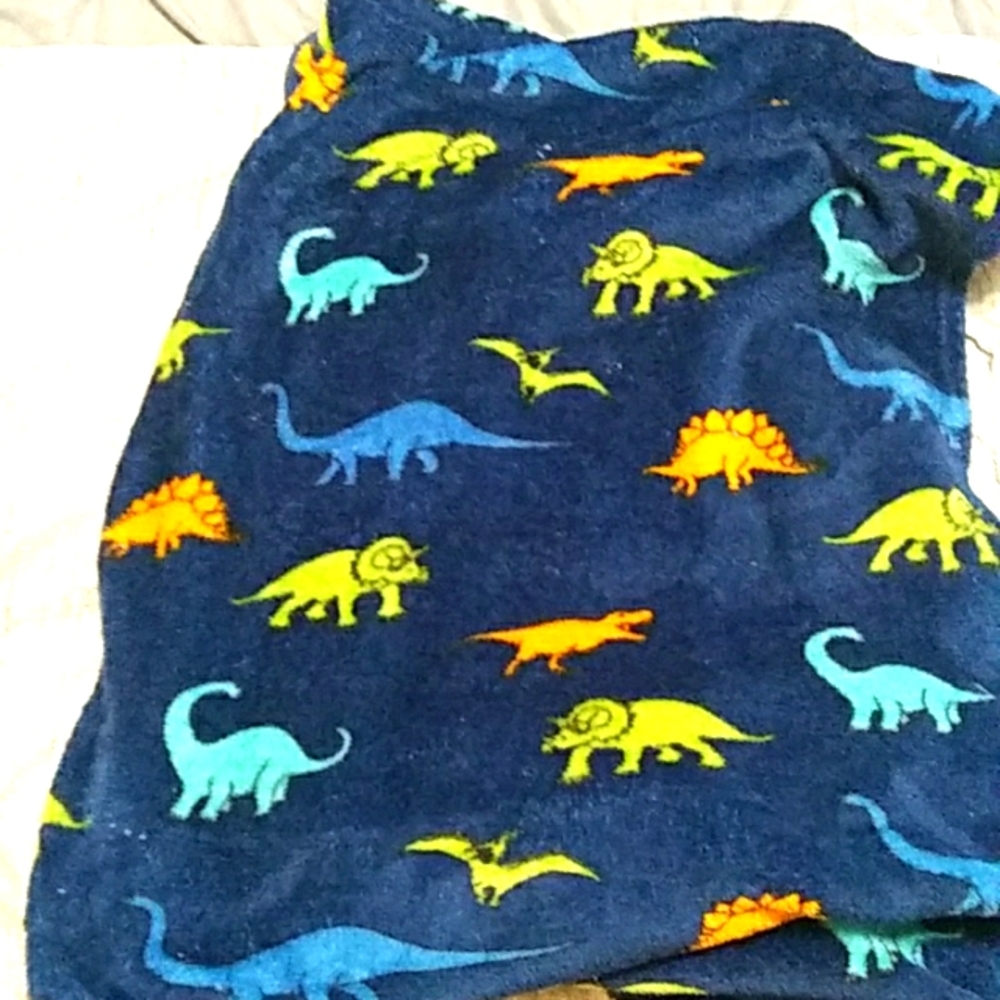 Dinosaur Fleece Blanket